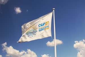 COP 27