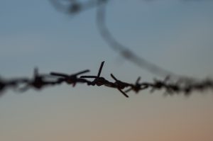 Alexis poulin fascisme en france