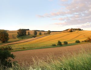 Ruralité