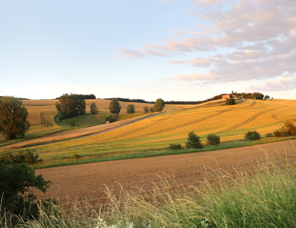 Ruralité
